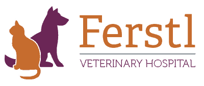 Ferstl Veterinary Hospital