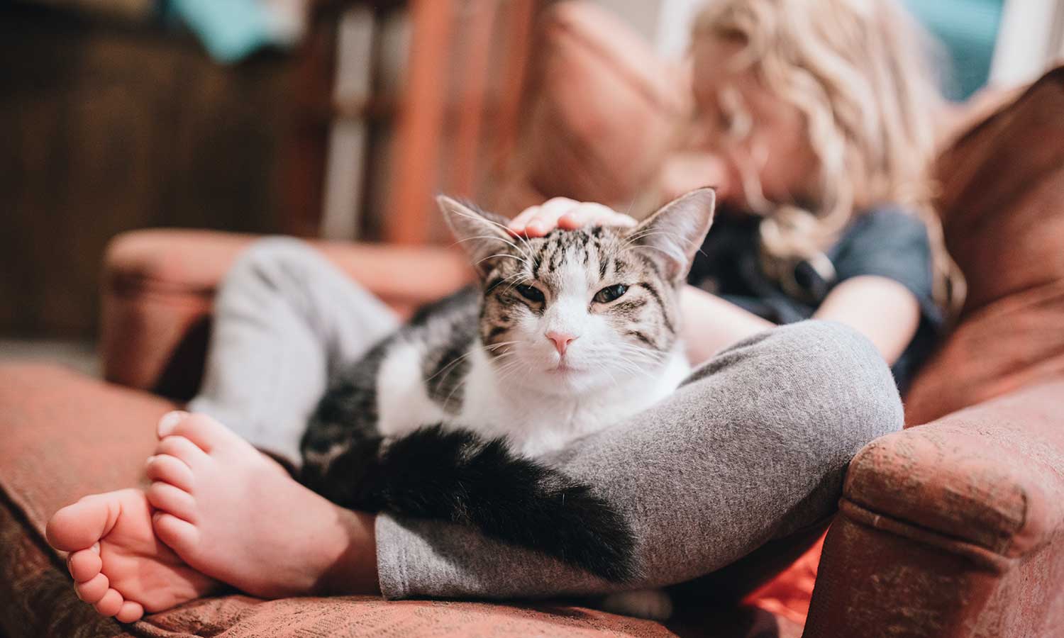 Girl holding her cat