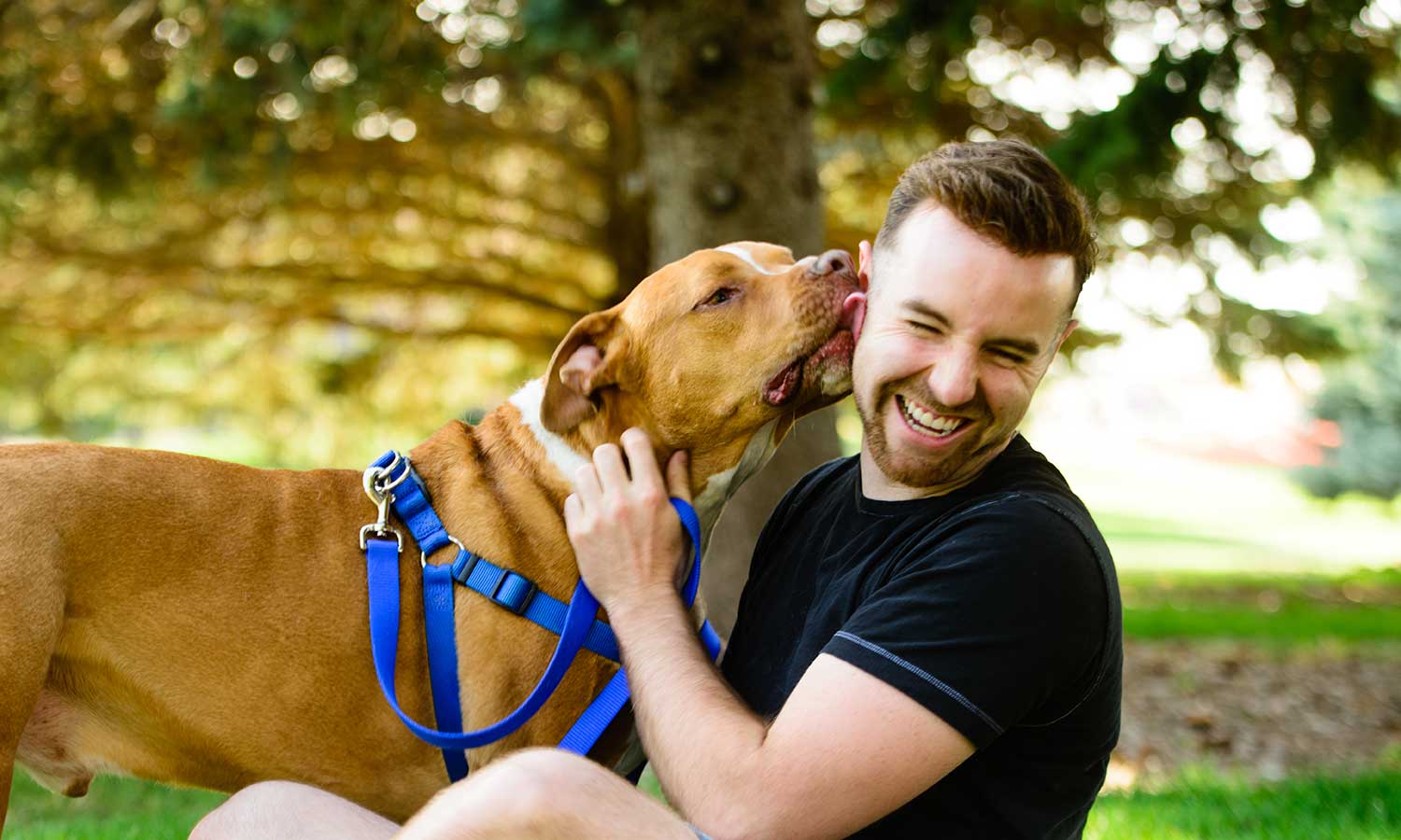 A man being licked by his puppy