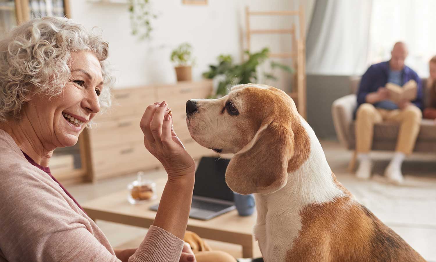 A woman giving a treat to an older dog