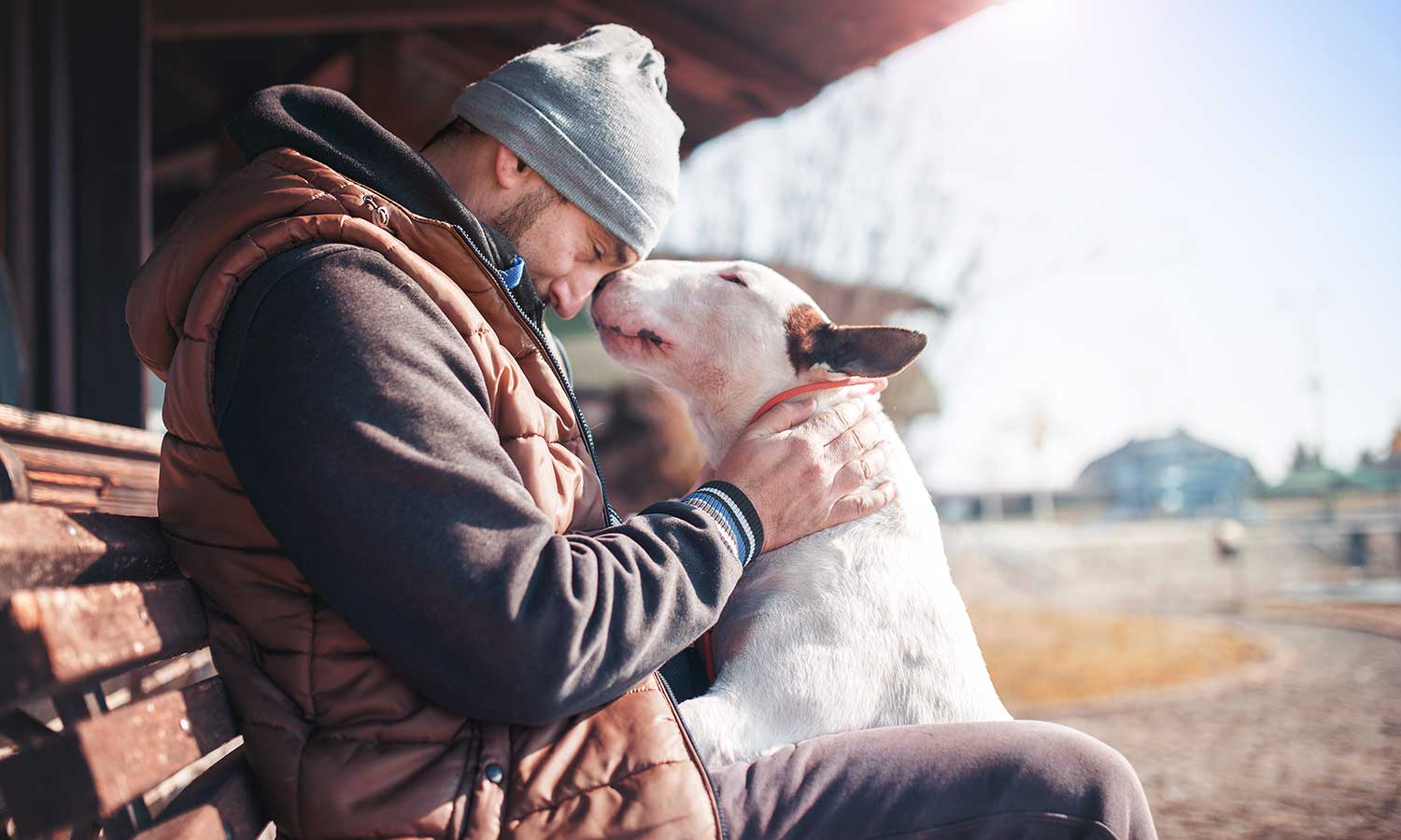 Dog kissing his human